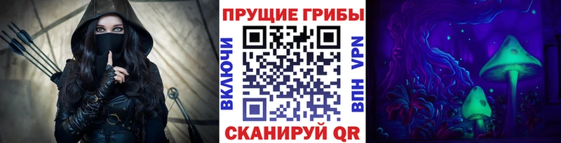 хочу   Вологда  Галлюциногенные грибы Magic Shrooms 